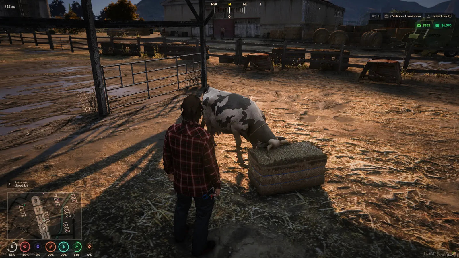 Cow Milking